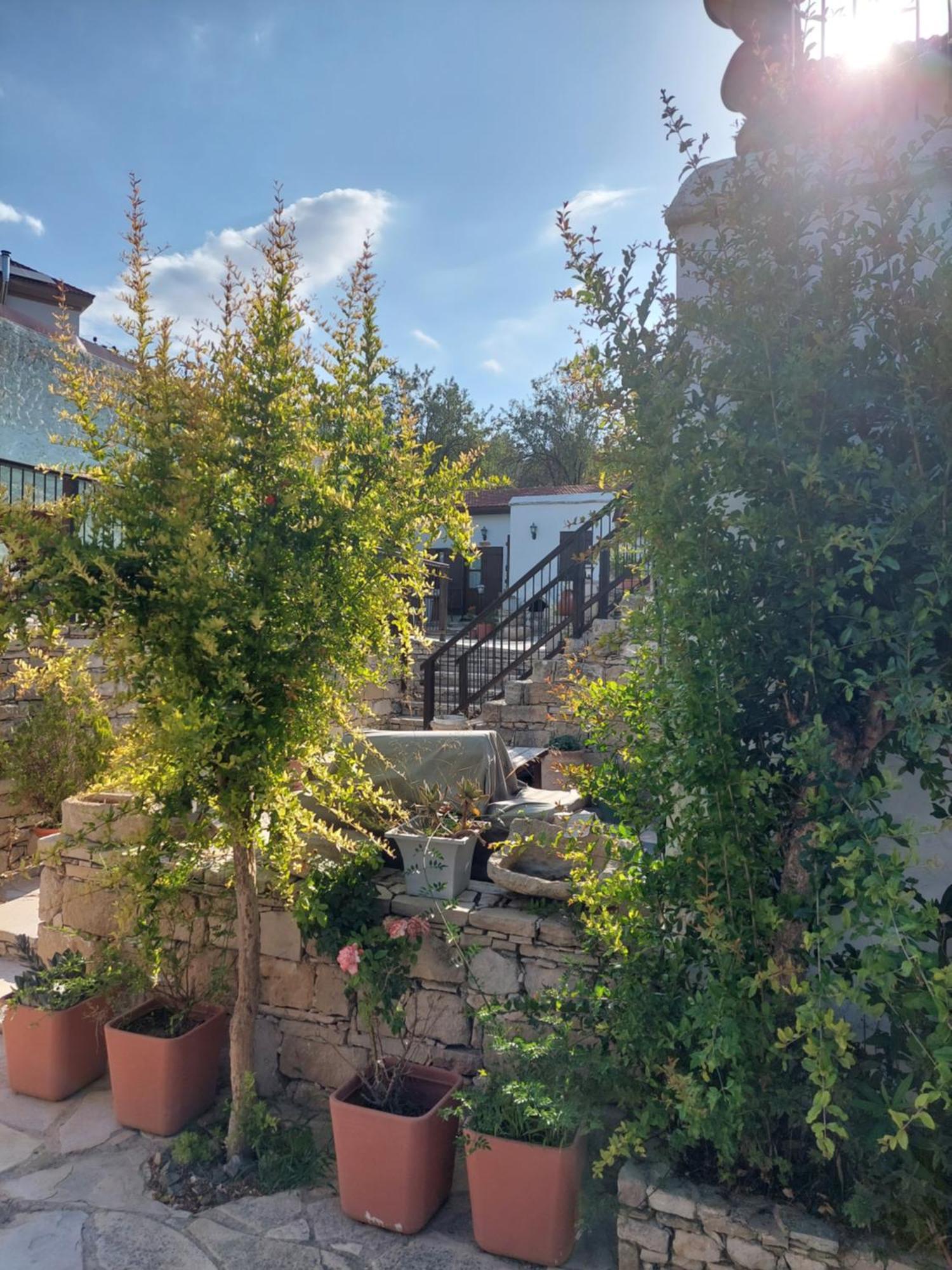 לימסול Avalon Village Houses מראה חיצוני תמונה